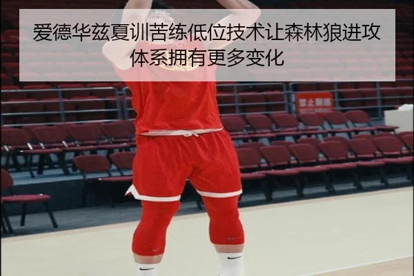 爱德华兹夏训苦练低位技术让森林狼进攻体系拥有更多变化